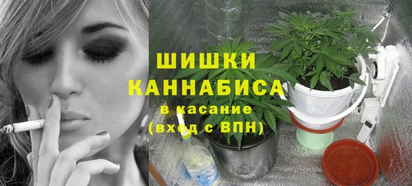 стафф Семилуки