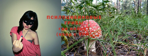 spice Зерноград