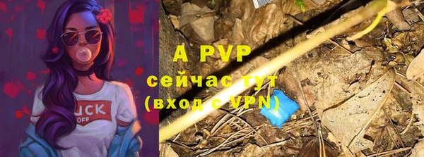 COCAINE Калининец