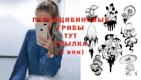 альфа пвп Заводоуковск