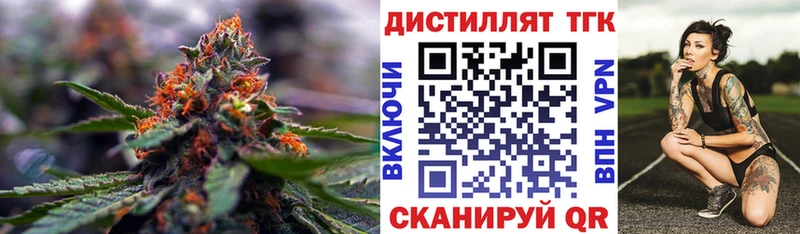 магазин продажи наркотиков  Светлогорск  Дистиллят ТГК THC oil 