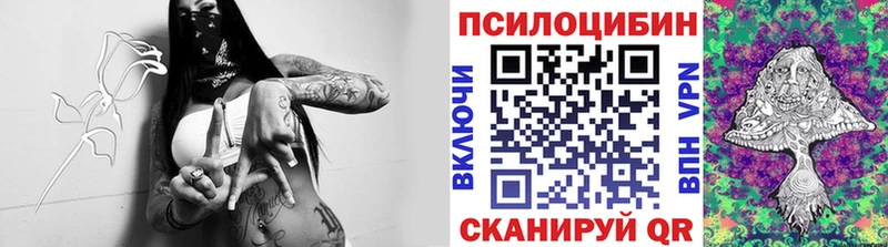 Псилоцибиновые грибы GOLDEN TEACHER  МЕГА как зайти  Светлогорск 