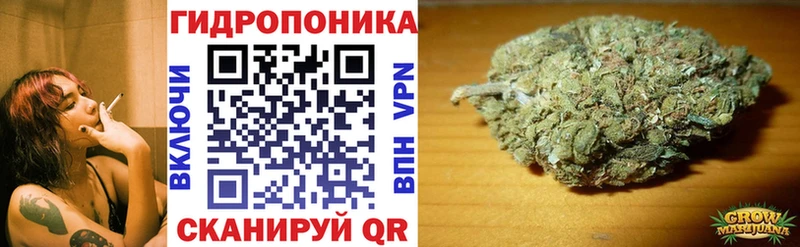 гидра ONION  Светлогорск  Канабис THC 21%  продажа наркотиков 